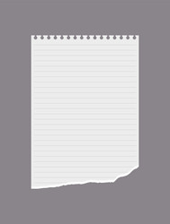 lined notebook paper with torn edge vector