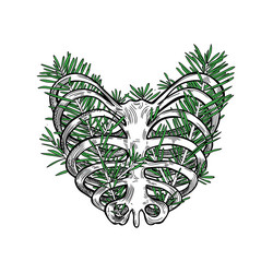 skeleton rib heart with pine leaves vector