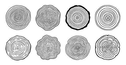 Tree ring wood circle set hand drawn vector