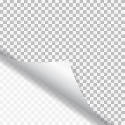 Paper Curl with Shadow vector image