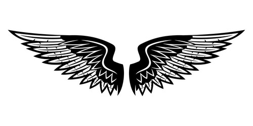 black wings on white background Vector Image