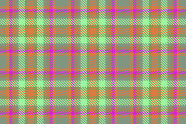 fabric background check of pattern texture tartan vector image