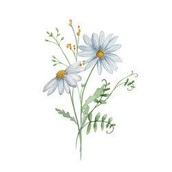 Watercolor Wildflower Bouquet Vector Image