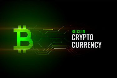 Bitcoin concept background with circuit lines vector