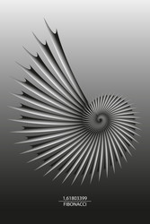 fibonacci sequence golden ratio 3d snail spiral vector image
