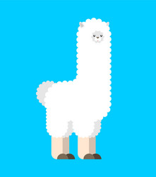 llama isolated lama cute animal alpaca cartoon Vector Image