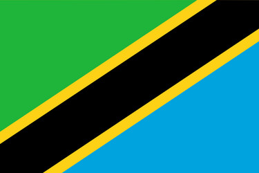 Tanzania flag vector