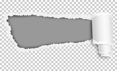 hole torn in transparent paper with curl vector image