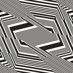 monochrome distorted zigzag textured pattern vector image