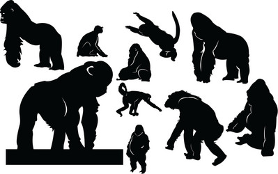 Orangutan Vector Images (over 2,800)