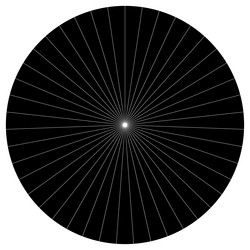 pie chart graph circular circle diagram from vector image