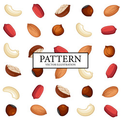 pattern background set of different nuts vector image