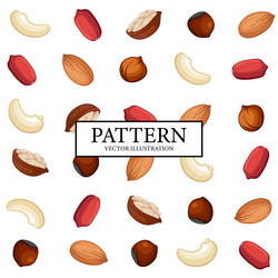 Pattern background set of different nuts vector