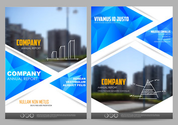 annual report and presentation template design vector image