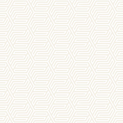 Subtle Hexagonal Pattern vector image