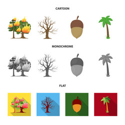 Burning tree palm acorn dry treeforest set vector