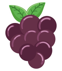 Grape fruit icon Royalty Free Vector Image - VectorStock