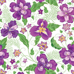 Clematis flowers floral tropical seamless pattern Vector Image