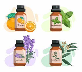 set of glass bottles with essential oils vector