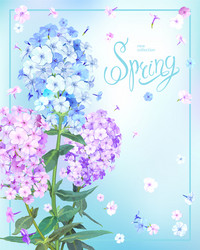 Spring background with phlox vector