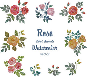 Watercolor Rose Branch Set Vector Image