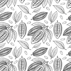 Cocoa Bean Pattern vector image