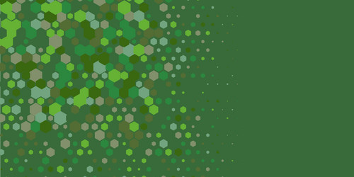geometric multi size hexagon with color vector