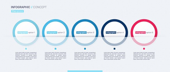 Template timeline infographic colored horizontal Vector Image
