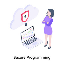 Secure programming vector