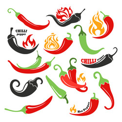 Spicy Chili Pepper Flames Vector Image