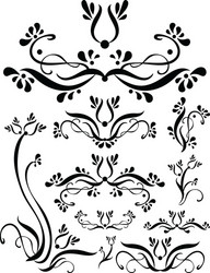 Floral Scroll Ornament Set vector