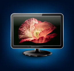 Lcd plasma tv with beautiful poppy vector