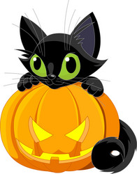 Halloween Cute Cat Profile