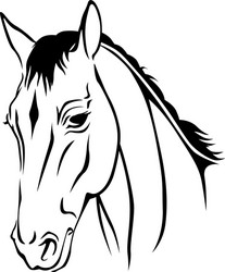 Horse Muzzle Contour Vector Image