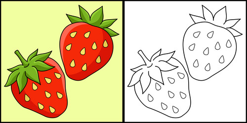 Orange fruit coloring page colored Royalty Free Vector Image