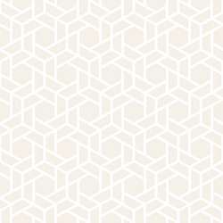 Subtle Hexagonal Pattern vector image