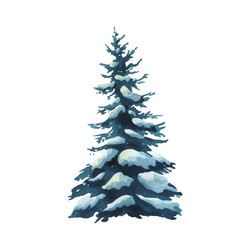 tree evergreen fir with spreading branches vector image