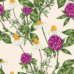 Wildflower Pattern - Chamomile & Clover Vector Image
