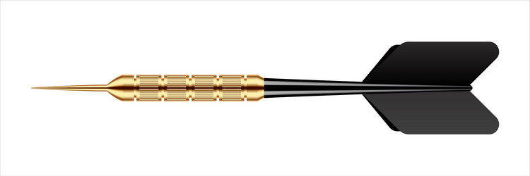 dart arrow with metal tip and shadow vector image