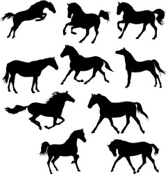 Horse Silhouettes - Dynamic Movement Vector Image