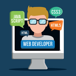 developer web responsive design vector image