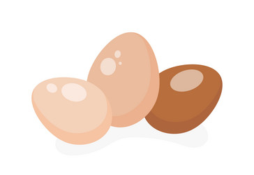 Set of chicken eggs vector