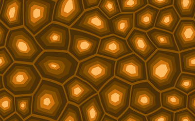 Abstract Turtle Shell Pattern vector