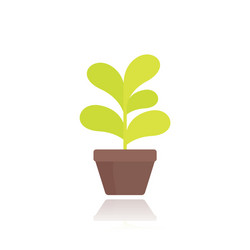 Plant in pot flat style vector