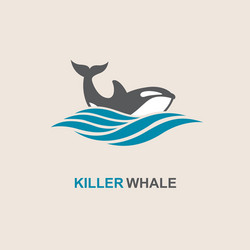 Killer whale icon vector