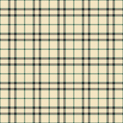 windowpane pattern seamless texture installing vector image
