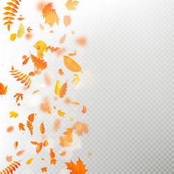 effect of autumn falling leaves layer with shallow vector image