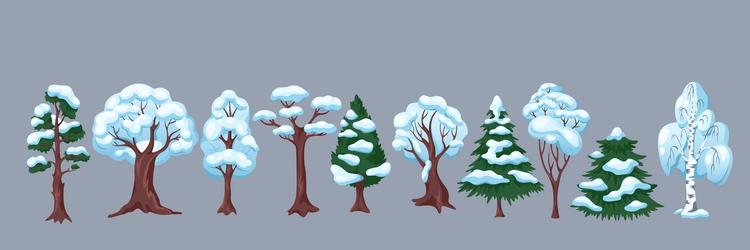 snowy trees from winter forest flat color objects vector image