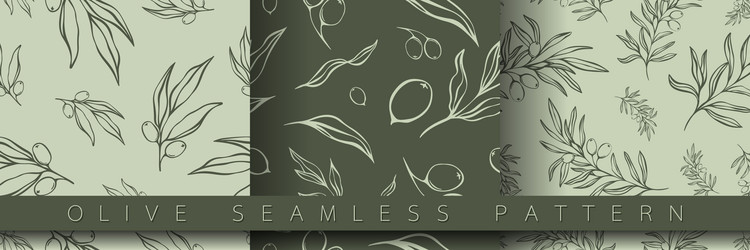 set of seamless pattern with olive branch vector image