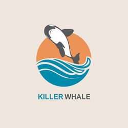 Killer whale icon vector